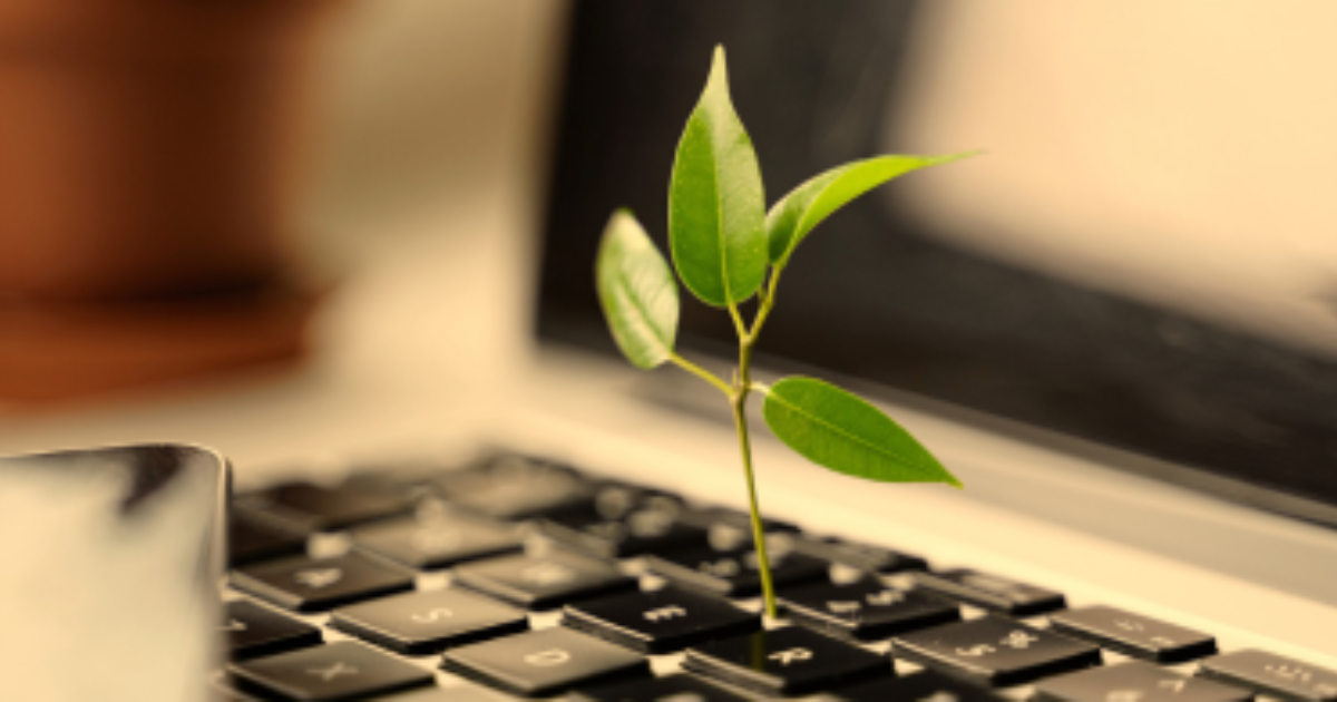 Pakistan Green Computer How to Go Green with Sustainable Computing in 2025 | Sol Minion