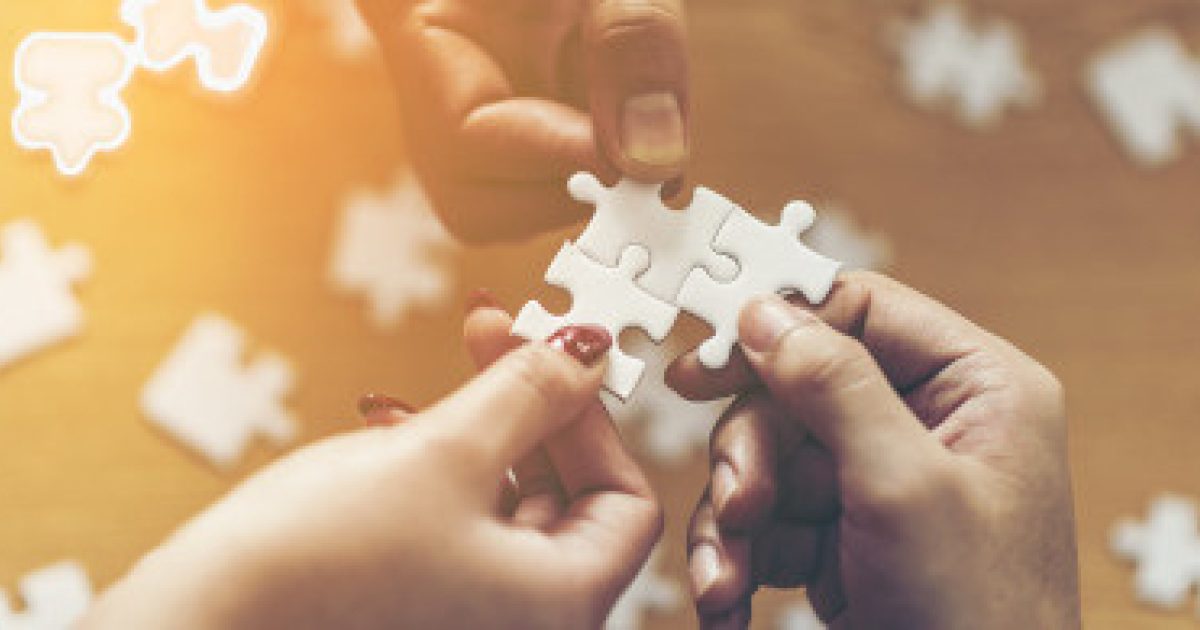 Custom Software Application Development Sol Minion