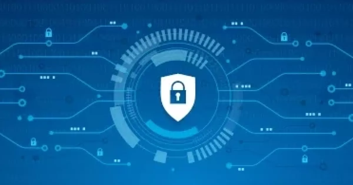 Why data security should be one of your organization’s… | Sol Minion